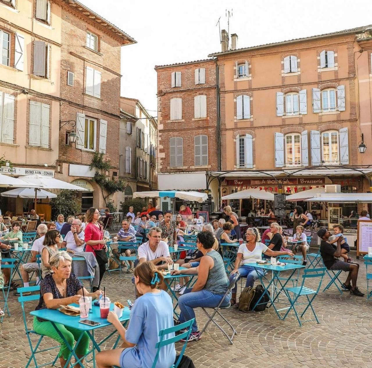 Puechblanc Gites Et Chambre D'Hote Dans Le Triangle D'Or Gaillac-Albi-Cordes Sur Ciel Fayssac Eksteriør billede
