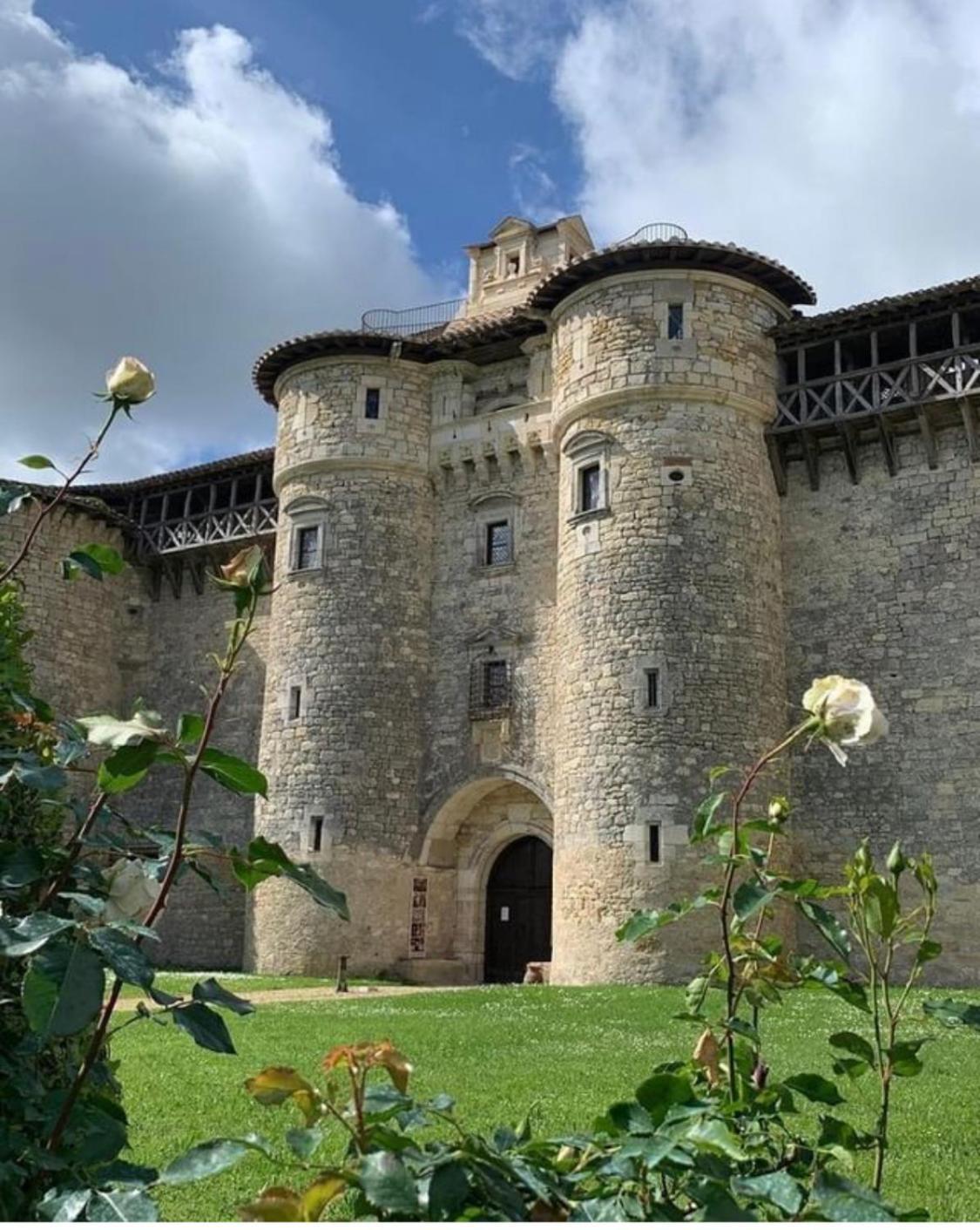 Puechblanc Gites Et Chambre D'Hote Dans Le Triangle D'Or Gaillac-Albi-Cordes Sur Ciel Fayssac Eksteriør billede