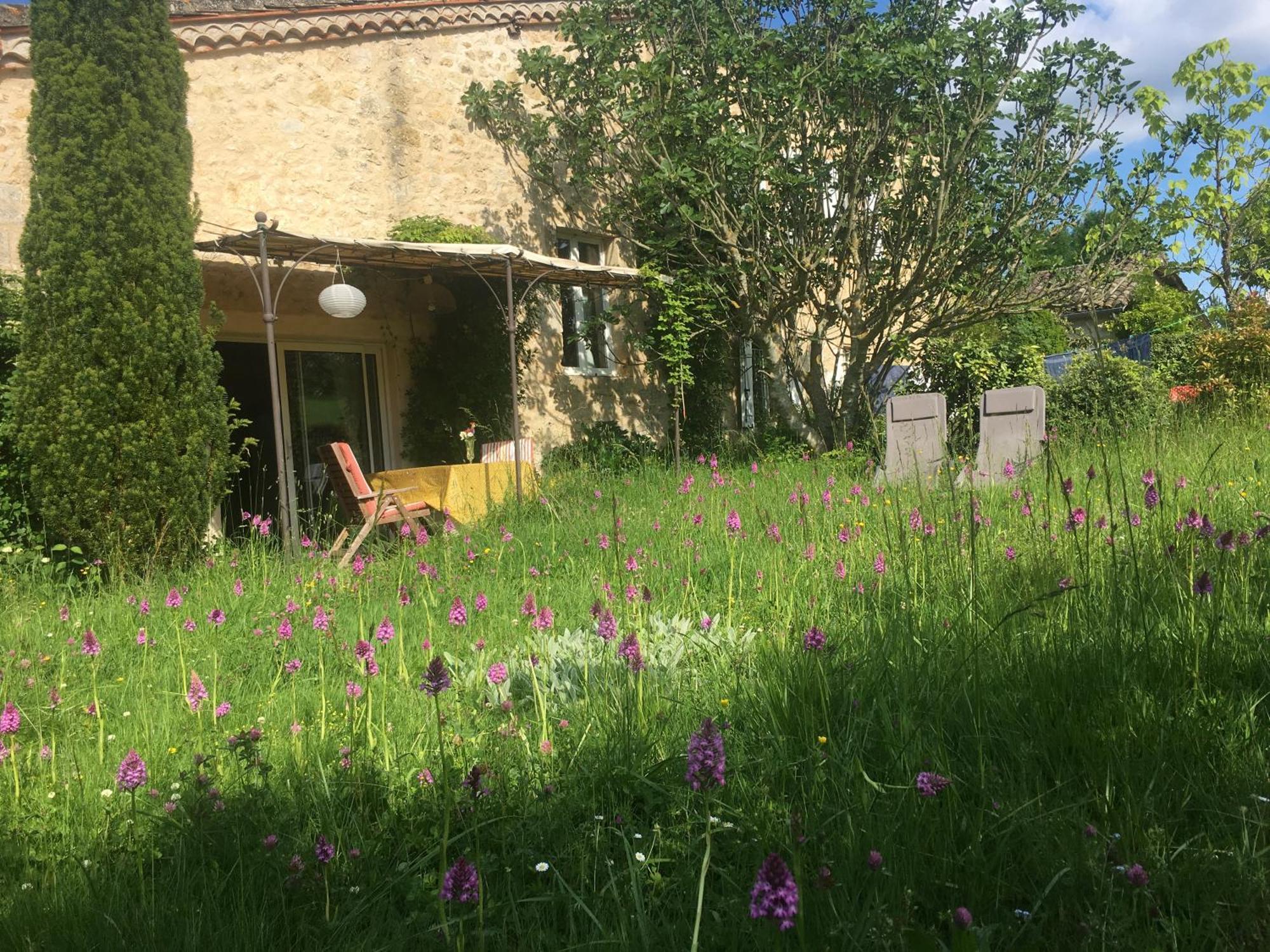 Puechblanc Gites Et Chambre D'Hote Dans Le Triangle D'Or Gaillac-Albi-Cordes Sur Ciel Fayssac Eksteriør billede